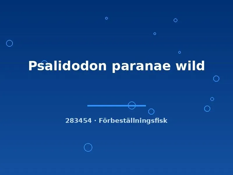 Näsets Psalidodon paranae wild tetrafisk 5-9 cm vildfångad