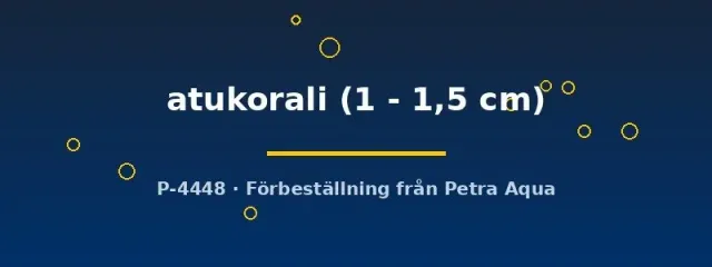 Näsets Ciklidhobby Horadandia atukorali stimfisk 1–1,5 cm