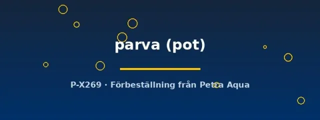 Näsets Ciklidhobby Cryptocoryne parva akvarieväxt pot förgrund