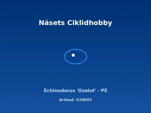 Näsets Ciklidhobby Echinodorus Ozelot svärdsplanta PE