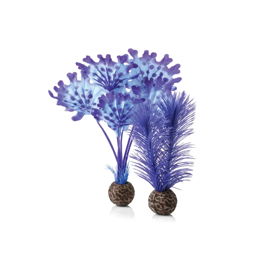 biOrb Small Kelp Plant Set akvarieväxt 200mm lila rosa