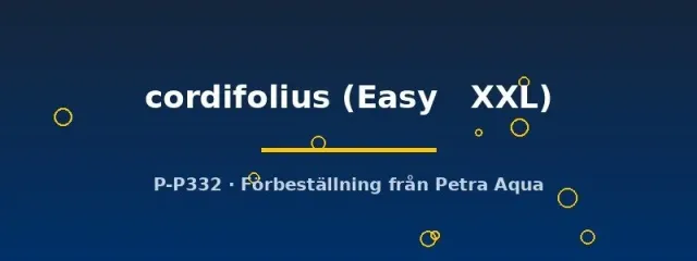 Näsets Ciklidhobby Cordifolius svärdsplanta Easy XXL