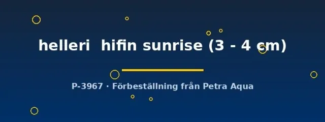 Näsets Ciklidhobby Hifin sunrise svärdbärare 3–4 cm