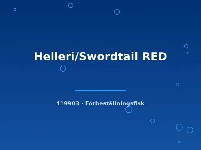 Xiphophorus helleri RED svärdbärare lg röd