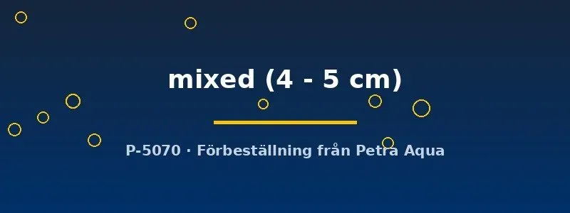 Mixed regnbågsfisk 4–5 cm akvariefisk stim