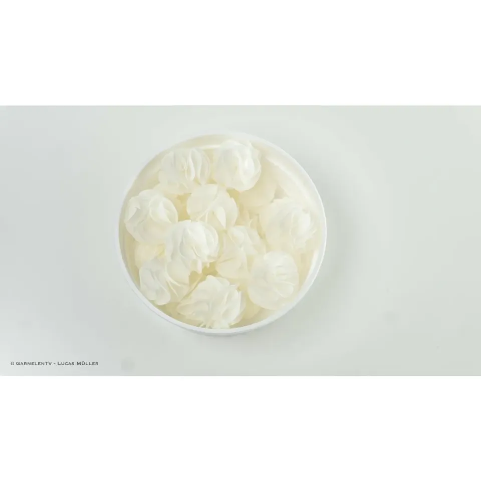 Baby Shrimp Shelter räkgömma 5-pack vit keramik