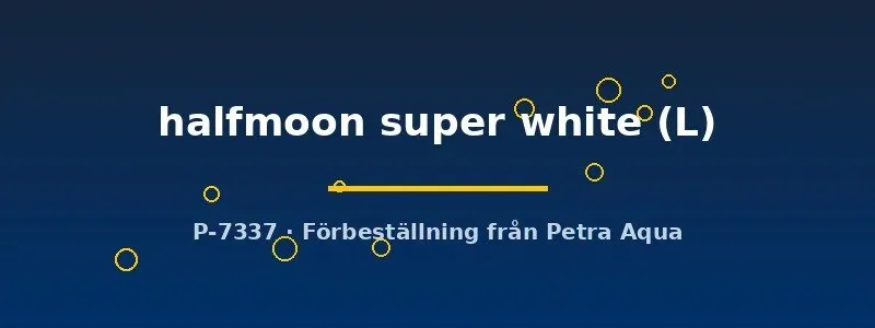 Näsets Ciklidhobby Halfmoon Super White kampfisk L hane