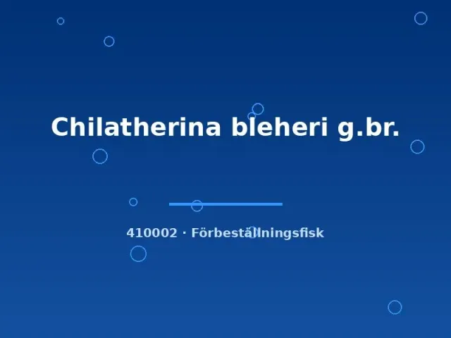 Näsets Ciklidhobby Chilatherina bleheri regnbågsfisk 4–6 cm