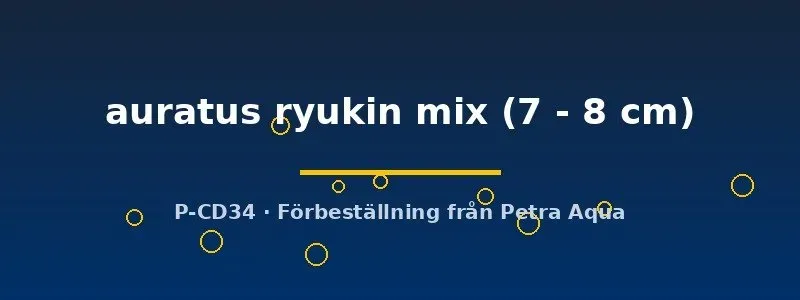 Carassius Auratus Ryukin mix guldfisk 7–8 cm