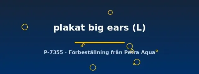 Näsets Ciklidhobby Betta plakat big ears kampfisk hane L