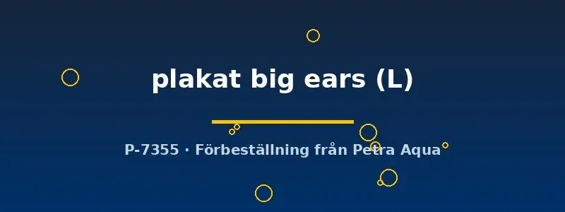 Näsets Ciklidhobby Betta plakat big ears kampfisk hane L