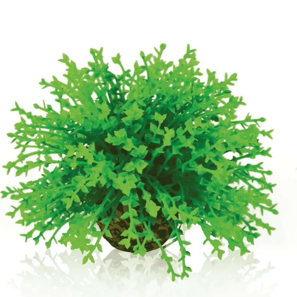 biOrb Blomma boll akvariedekoration grön mossboll