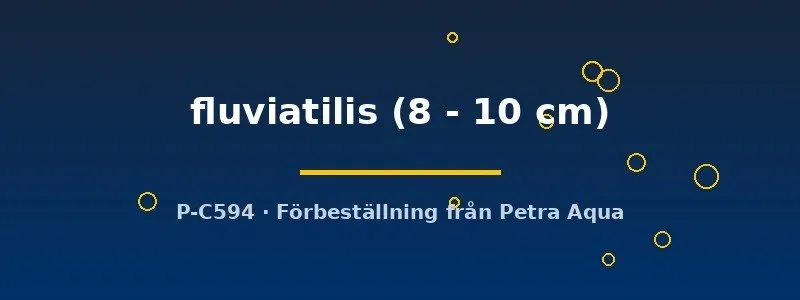 Näsets Ciklidhobby Perca fluviatilis abborre 8–10 cm