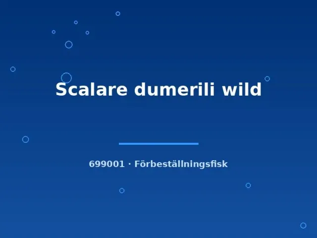 Pterophyllum Scalare Dumerili vild skalar sm–md