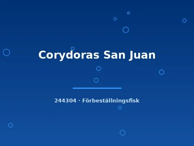 Näsets Ciklidhobby Corydoras San Juan pansarmal md-lg