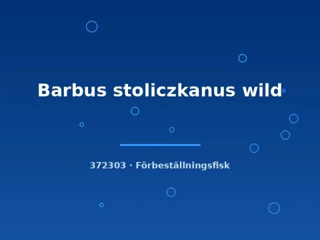 Näsets Ciklidhobby Barbus stoliczkanus akvariefisk wild lg