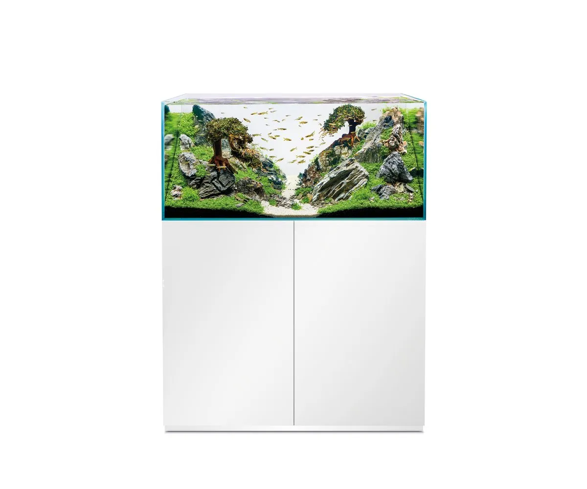 Oase ScaperLine 100 white akvarium 250 liter set