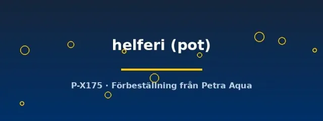 Näsets Cyperus helferi akvarieväxt pot hög