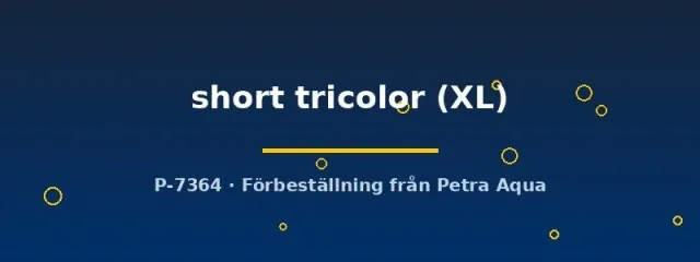 Näsets Ciklidhobby Betta short tricolor kampfisk hona XL