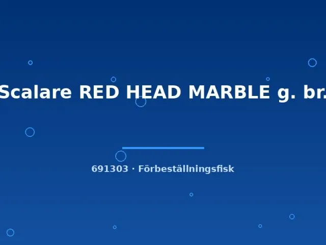 Näsets Ciklidhobby Scalare Red Head Marble skalar ml rödhuvad