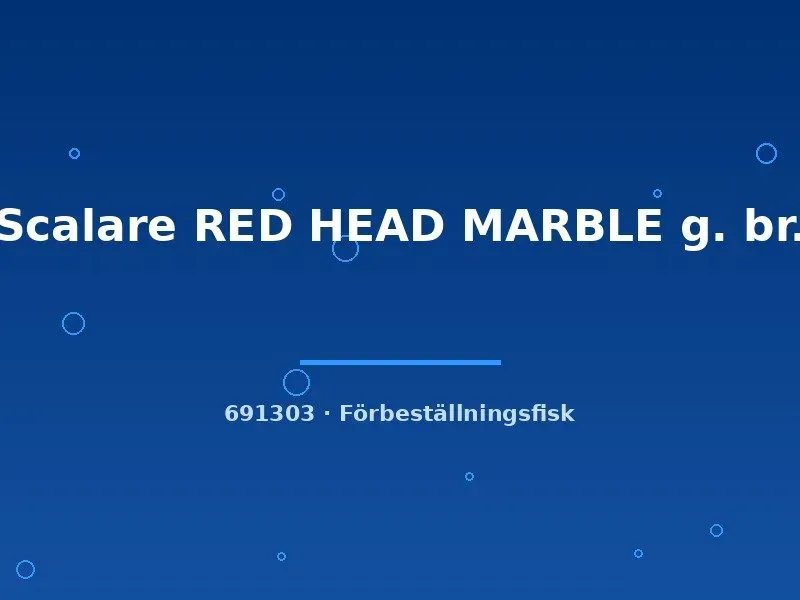 Näsets Ciklidhobby Scalare Red Head Marble skalar ml rödhuvad
