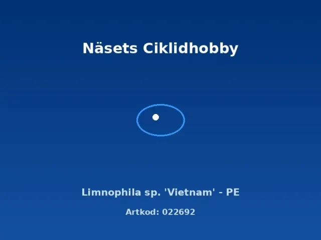 Näsets Ciklidhobby Limnophila sp. Vietnam akvarieväxt PE