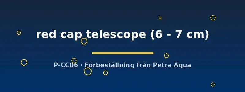 Näsets Red Cap Telescope guldfisk 6–7 cm slöjfisk