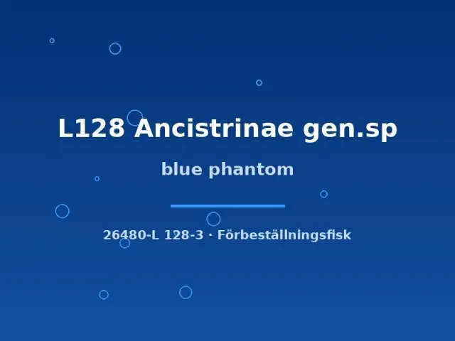 Näsets Ciklidhobby Blue phantom L128 mal 5–7 cm blå