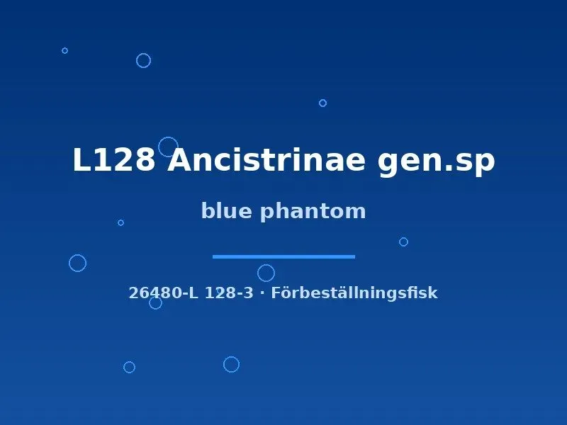 Näsets Ciklidhobby Blue phantom L128 mal 5–7 cm blå
