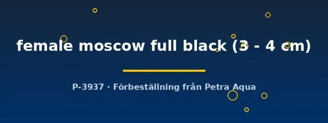 Näsets Poecilia Moscow Full Black guppyhona 3–4 cm