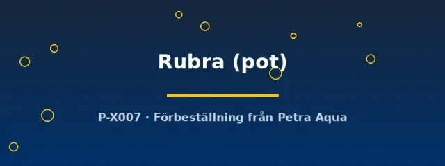 Näsets Ciklidhobby Alternanthera Rubra akvarieväxt pot röd