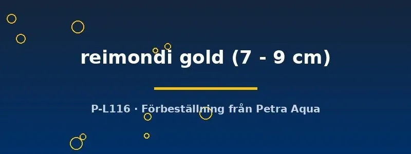 Näsets Ciklidhobby Aulonocara reimondi gold ciklid 7–9 cm