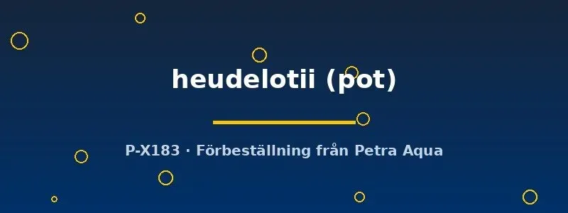 Näsets Ciklidhobby Bolbitis heudelotii akvarieväxt pot