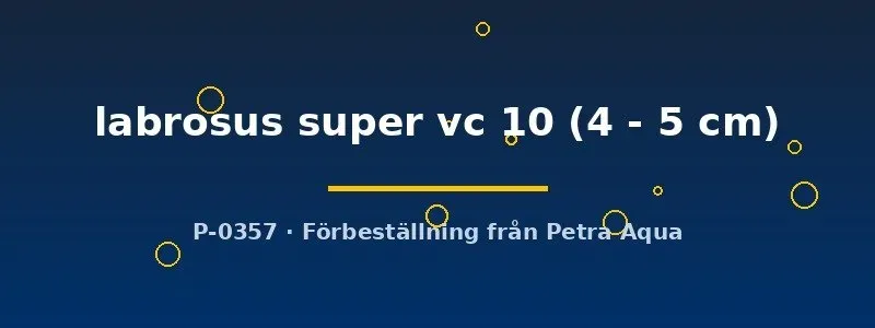 Näsets Super VC 10 ciklid 4–5 cm Big-Lip Hap