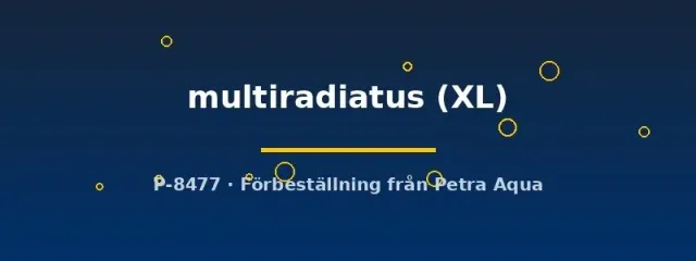 Näsets Ciklidhobby Brochis multiradiatus pansarmal XL stor