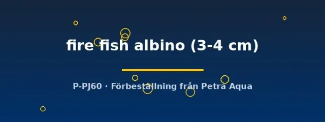 Näsets Ciklidhobby Aulonocara fire fish ciklid 3–4 cm albino