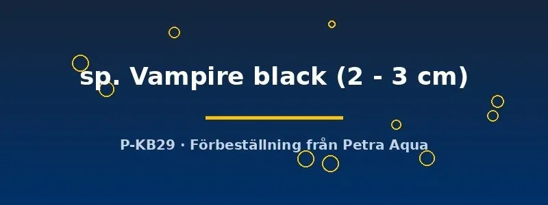 Näsets Ciklidhobby Vampire Black krabba 2–3 cm svart