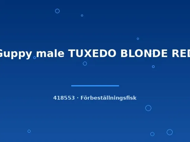 Näsets Tuxedo Blonde Red guppyhane lg röd