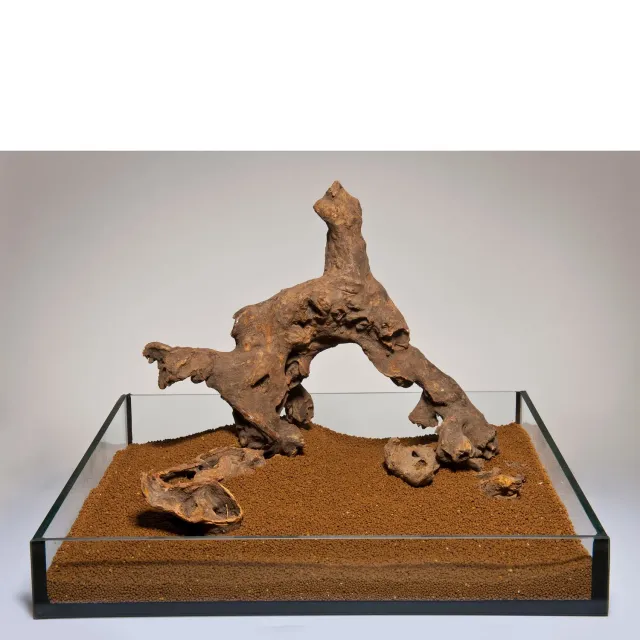 Näsets Ciklidhobby Savannah Wood akvariedekoration naturträ