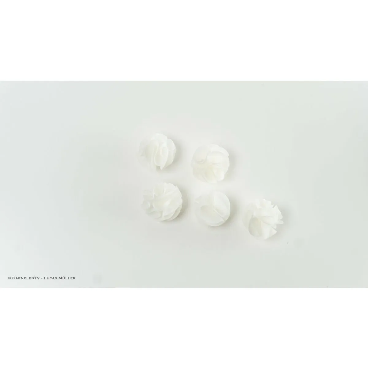 Baby Shrimp Shelter räkgömma 5-pack vit keramik