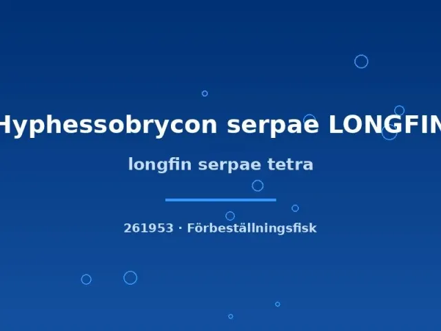 Hyphessobrycon serpae Longfin serpaetetra md-lg långfenad