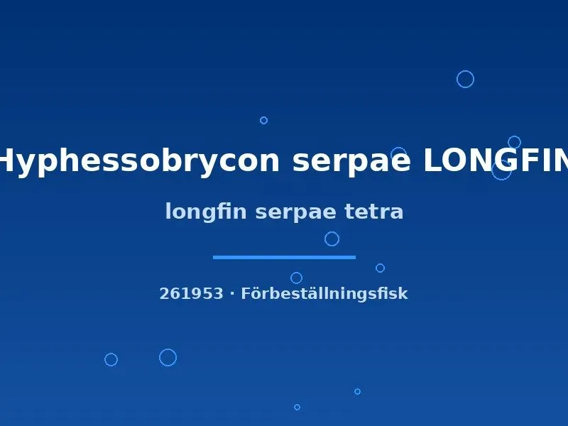 Hyphessobrycon serpae Longfin serpaetetra md-lg långfenad