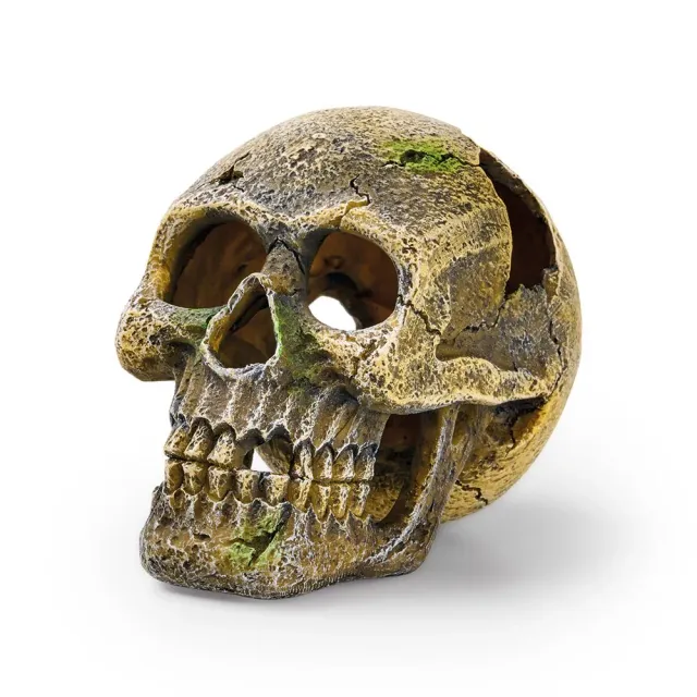 Oase Eden Skull akvariedekoration 150 mm