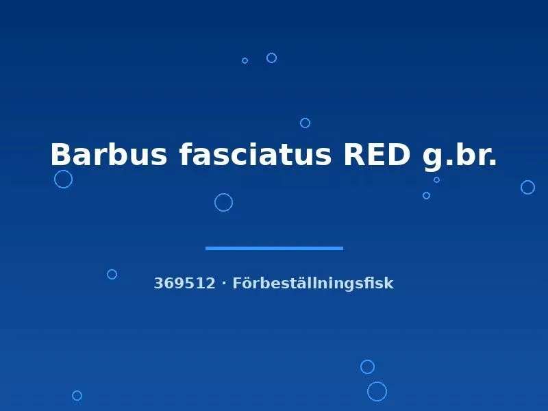 Näsets Ciklidhobby Barbus fasciatus Red barb sm