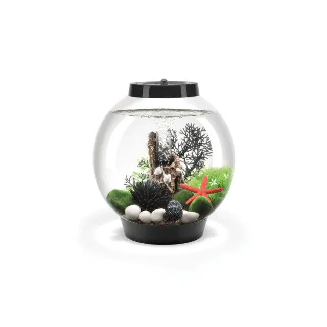 biOrb Classic 15 LED akvarium svart 15 liter