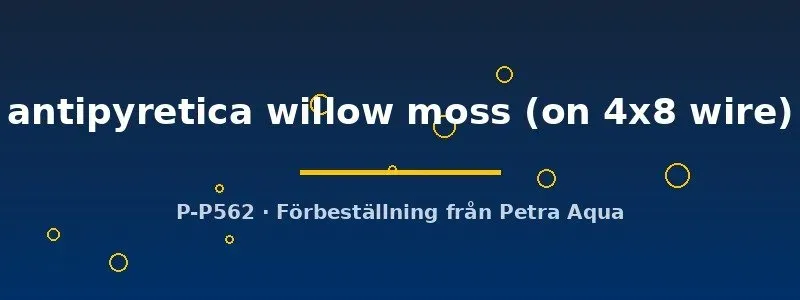 Näsets Ciklidhobby Fontinalis antipyretica willow moss växt 4x8 nät