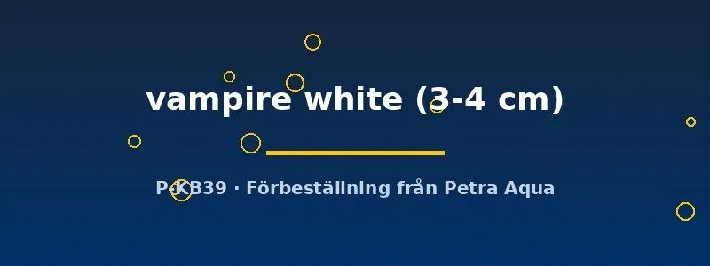 Näsets Ciklidhobby Geosesarma vampire white krabba 3–4 cm