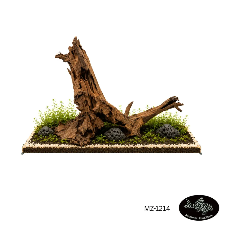Mangroverot MZ-1214 akvarierot 65 cm unik