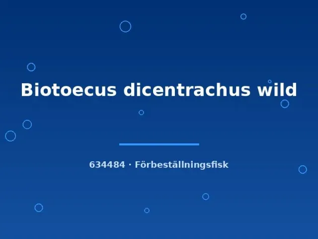 Näsets Ciklidhobby Biotoecus dicentrachus ciklid lg–xlg