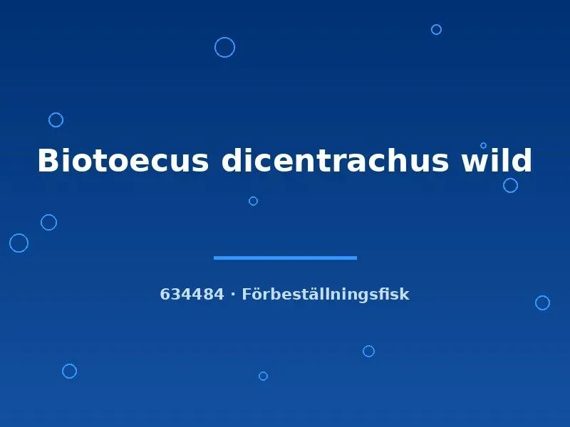 Näsets Ciklidhobby Biotoecus dicentrachus ciklid lg–xlg